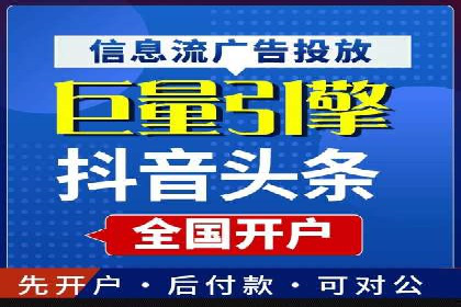 搜索引擎营销（SEM）的投放策略与效果评估——以某行业领先企业的案例分析