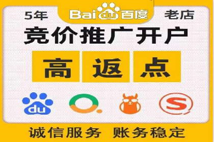 百度推广广告案例：快速抢占市场份额